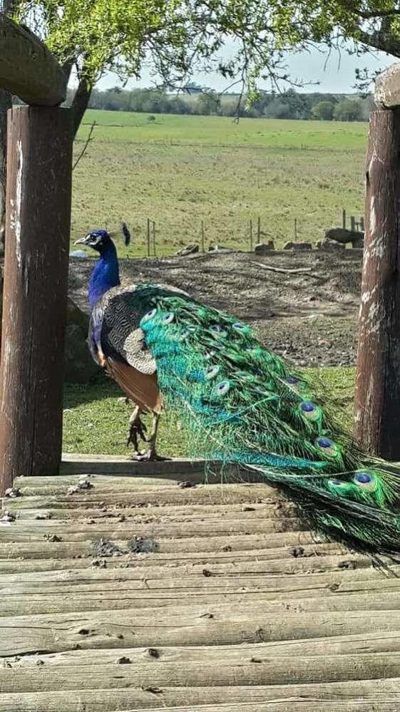 Mal Abrigo Estancia Turistica Finca Piedra מראה חיצוני תמונה